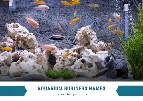 Aquarium Business Names