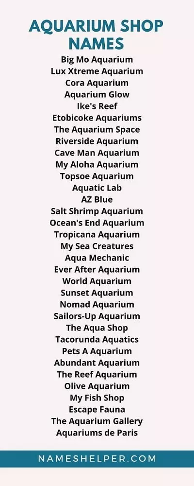 Aquarium Shop Names Ideas