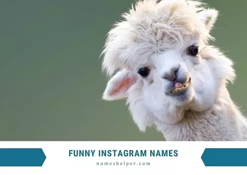 Funny Instagram Names